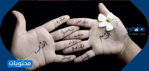 صور ام و ابي