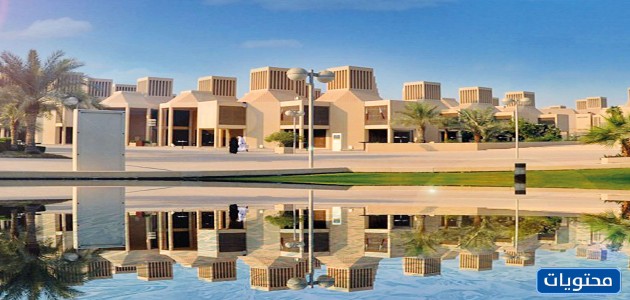 Küresel sıralamaya göre 2021 yılı için en iyi Arap üniversiteleri