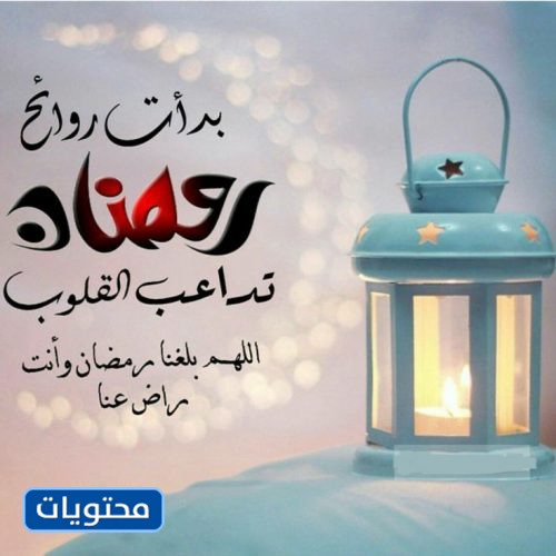 في صباح الثلاثين من شهر شعبان