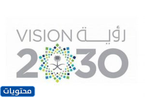 صور رؤية 2030