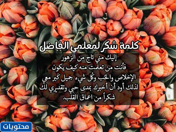 صور جميلة للمعلم