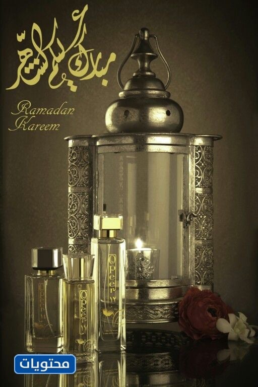 Mübarek'in resimleri ve tasarımları