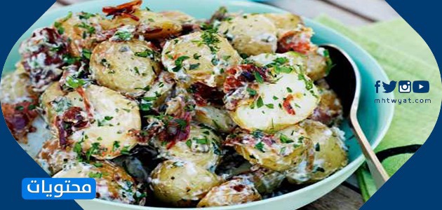 طريقة عمل سلطة رمضان