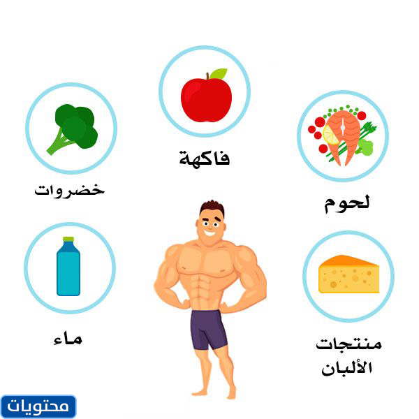 أفضل الاقتباسات عن الغذاء الصحي 2021