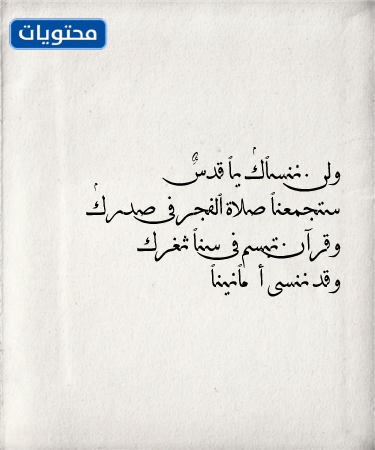 ونقلت عن القدس بالصور القصيرة