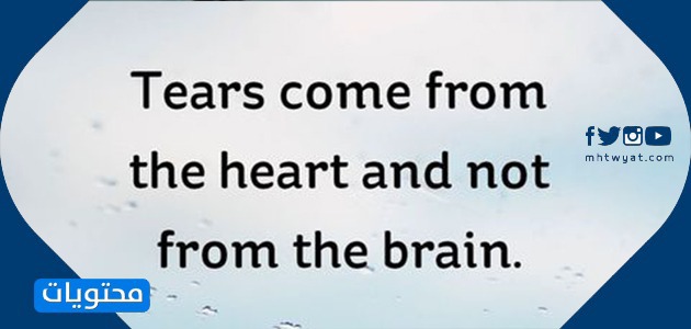 İngilizce cümle çevrildi