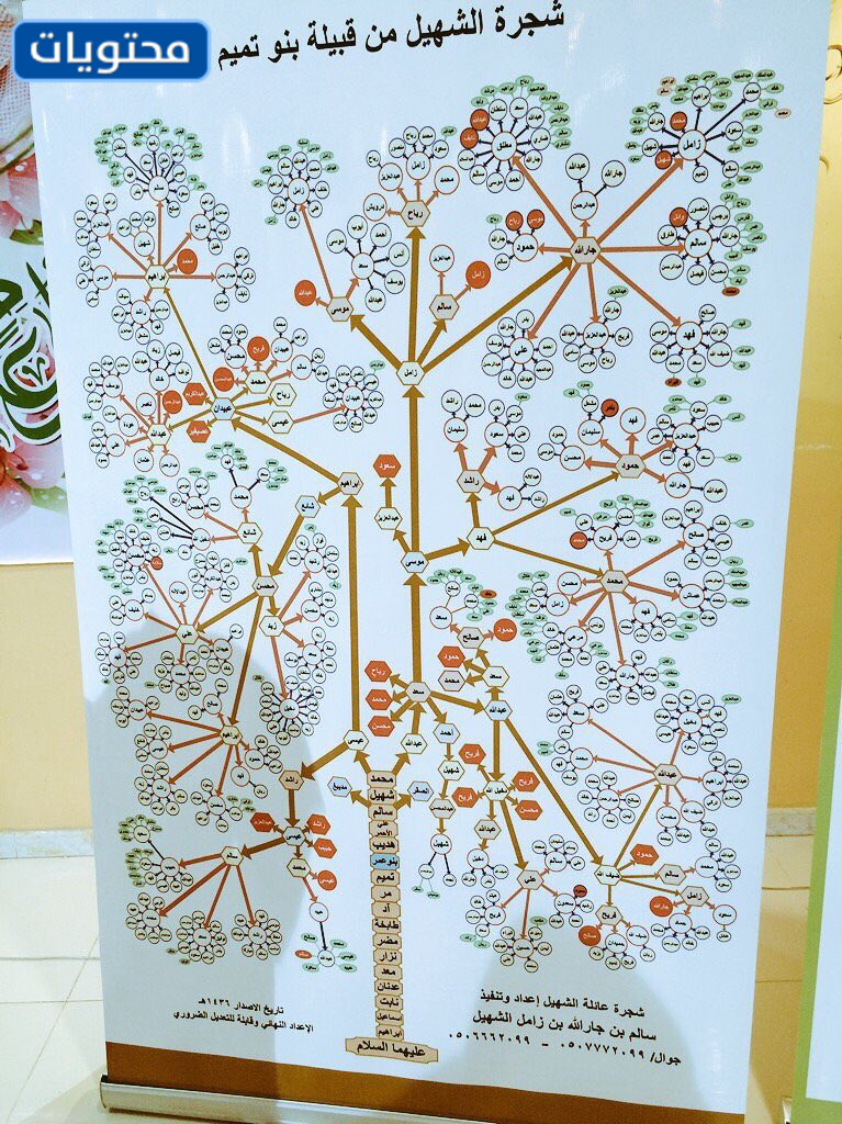شجرة عائلة الشهيل