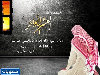 عشر جمل تبارك لنا ولكم