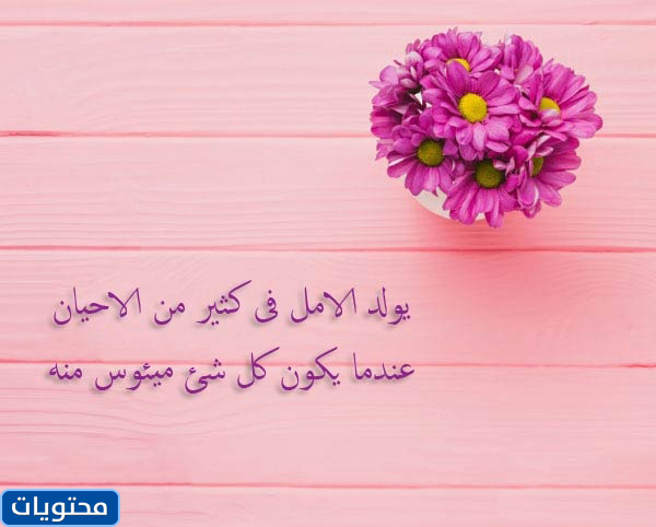 Güzel ve kısa sözler