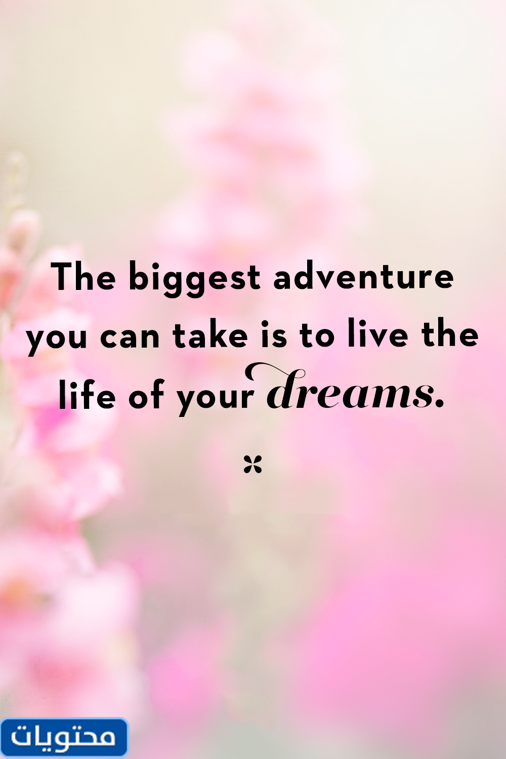 حكم اللغة الإنجليزية عن الحياة