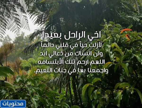 خواطر عن وفاة الأخ 2021