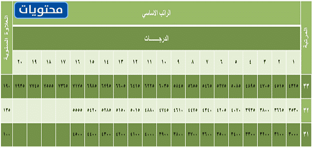 جدول رواتب المستخدم
