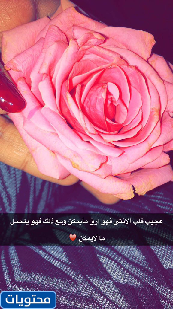 صور زهرة 2021