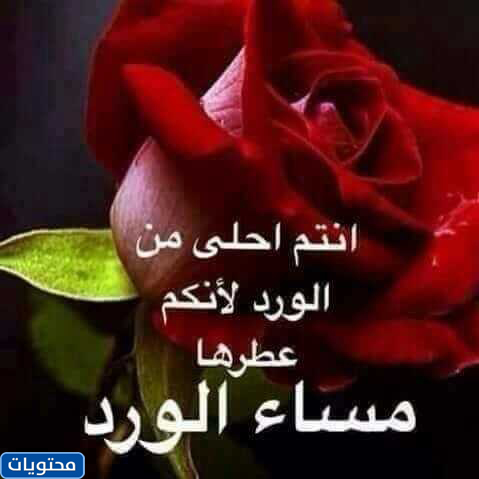 صور زهرة 2021