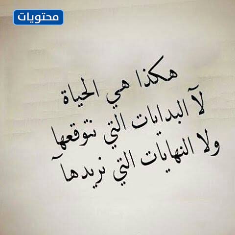 عبارات جميلة عن الحياة قصيرة جدا