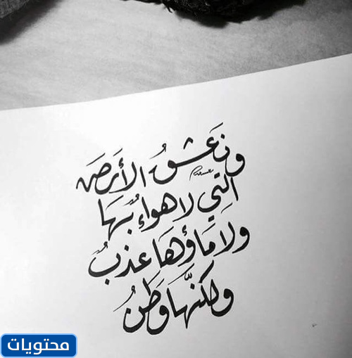 ونقلت الوطنية