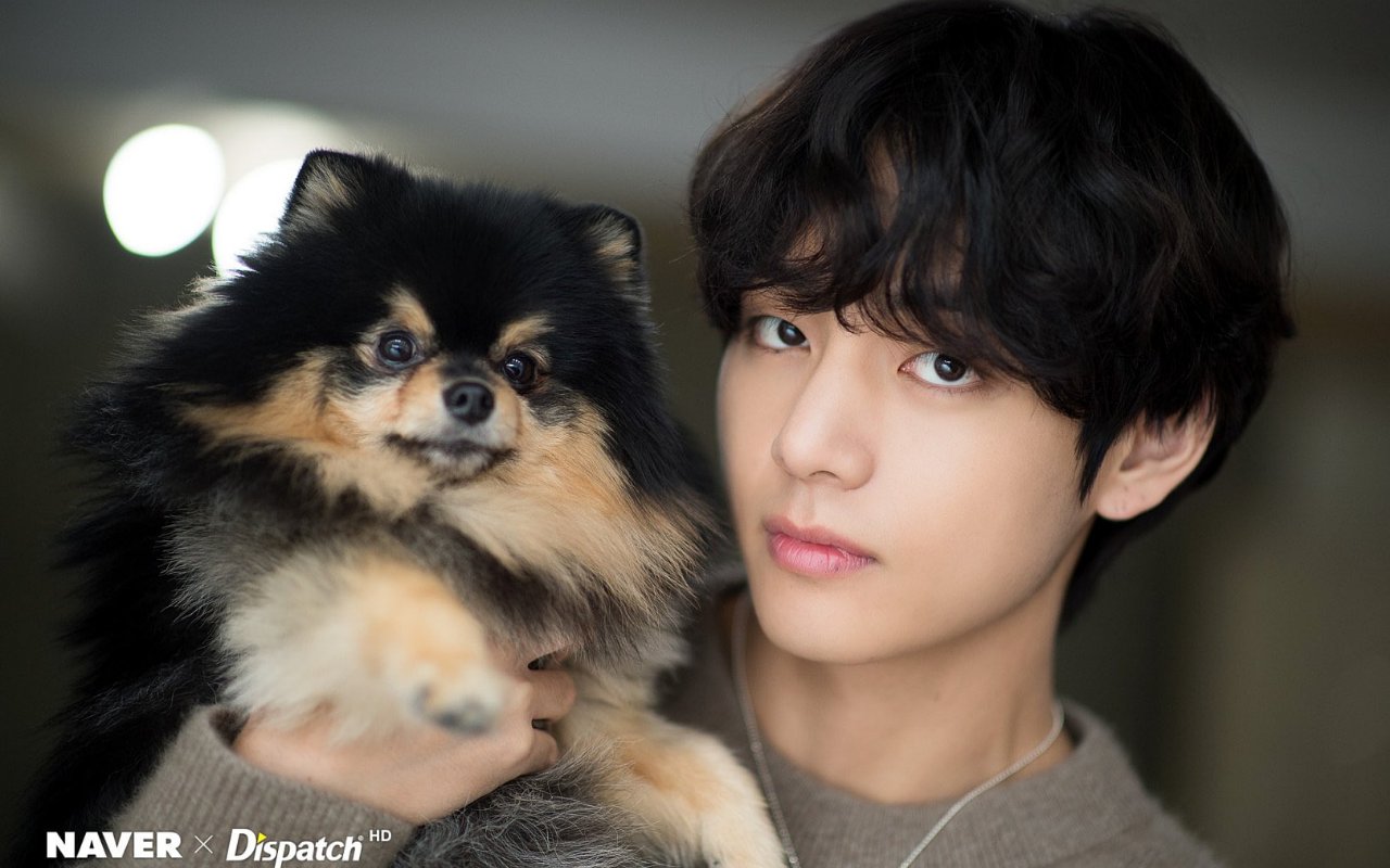 يريد V BTS تكوين صداقات مع كلبهم yeontan