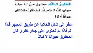 كيف أقرر ما إذا كان حيوانًا على شكل حيوان أم لا