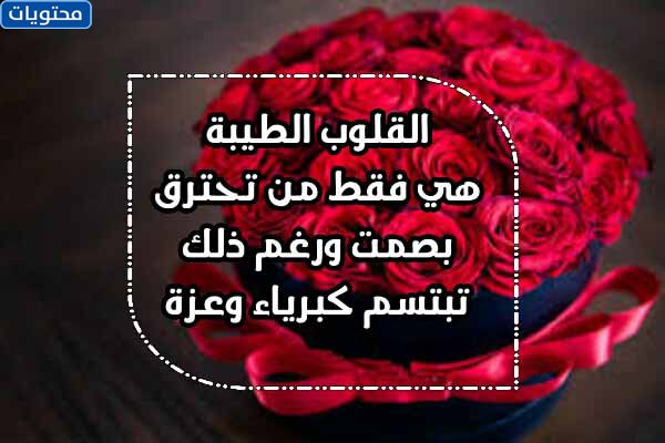 صور جميلة عن عطف القلب