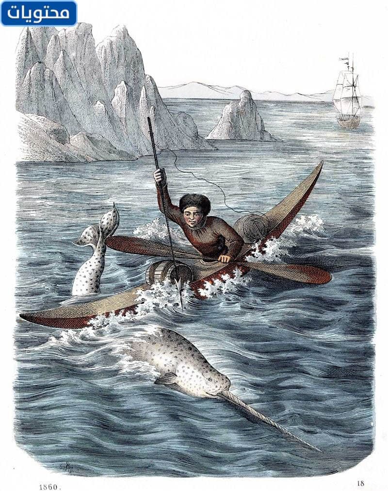 تقاليد وعادات وطريقة حياة شعب الإسكيمو بالصور