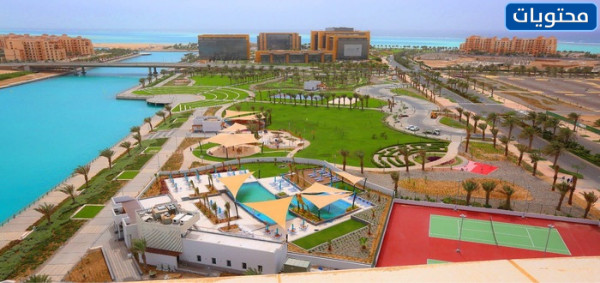 شاليهات مدينة الملك عبدالله الاقتصادية