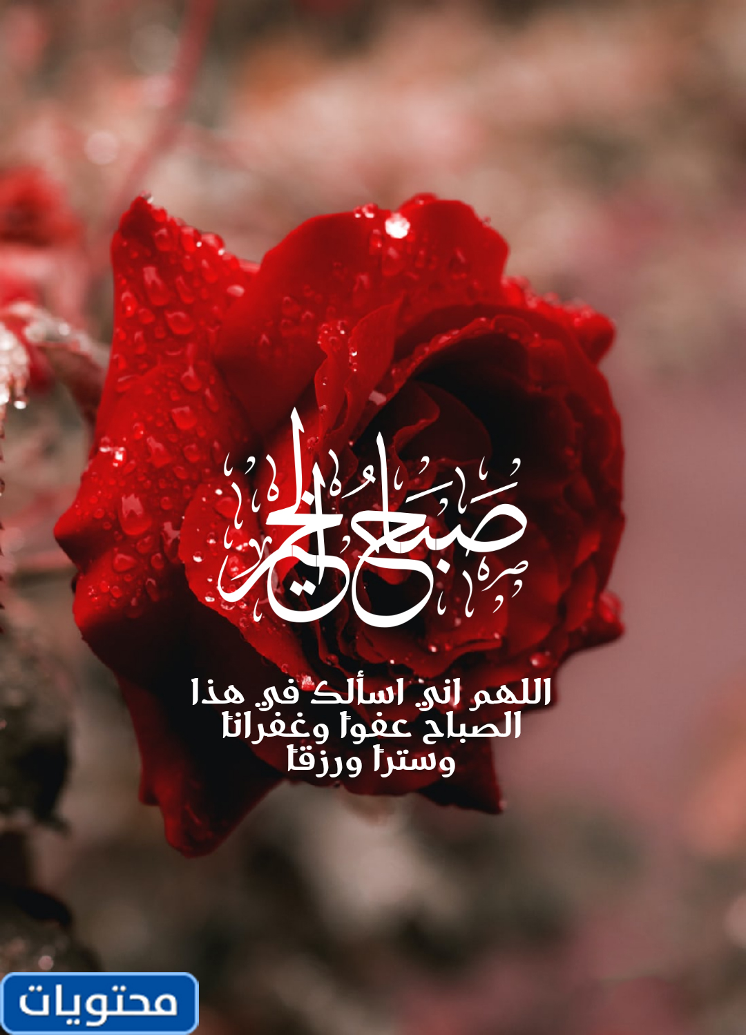 صور صباح الخير 2022