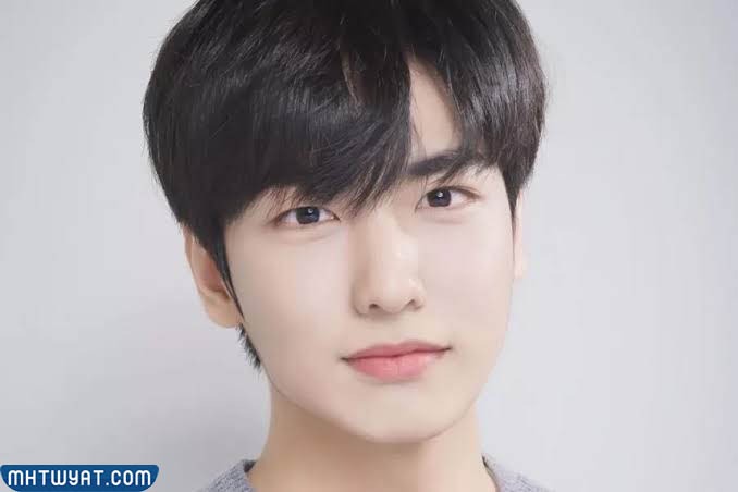 من هو لي جي هان ويكيبيديا