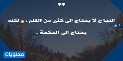 عبارات عن الطموح والنجاح