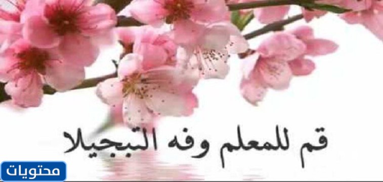 شكرا أستاذ، وعبارات الشكر للمعلمين المتميزين