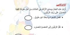 ملخصات دروس مرفقة بتمارين كل المواد للسنة الثانية ابتدائي