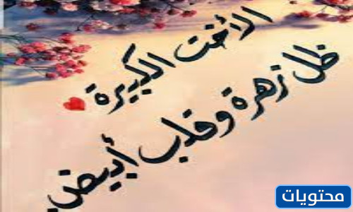 صور يوم الأخت العالمي