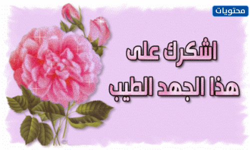 بطاقة شكر من طالب مجهول إلى المعلم