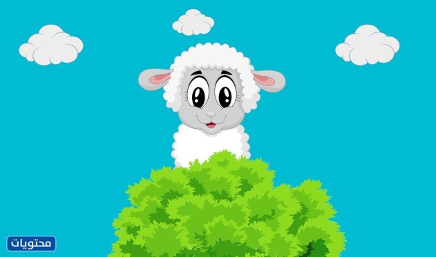 صور لموضوعات عطلة الكرتون للأطفال