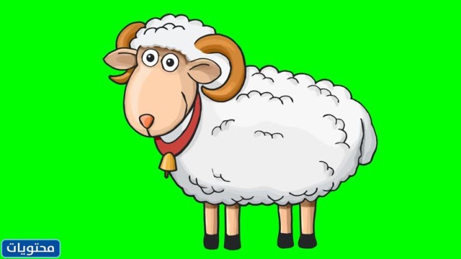 صور لموضوعات عطلة الكرتون للأطفال