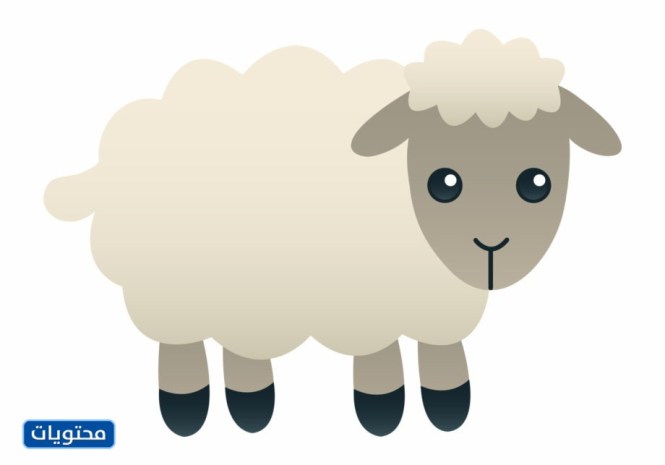 صور لموضوعات عطلة الكرتون للأطفال