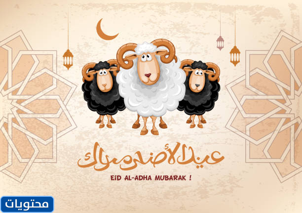 تهنئة عيد الأضحى