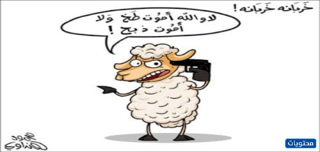 صور خروف عيد الأضحى مضحكة