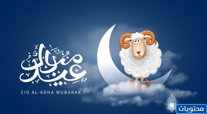 خلفيات خروف العيد 2021