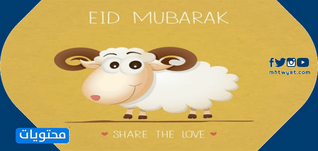 صور خروف العيد جديدة ومبتكرة