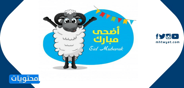 صور خروف العيد جديدة ومختلفة