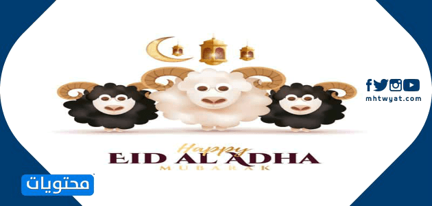 صور خروف العيد جديدة ومبتكرة