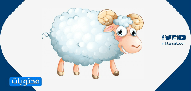 صور خروف العيد جديدة ومختلفة