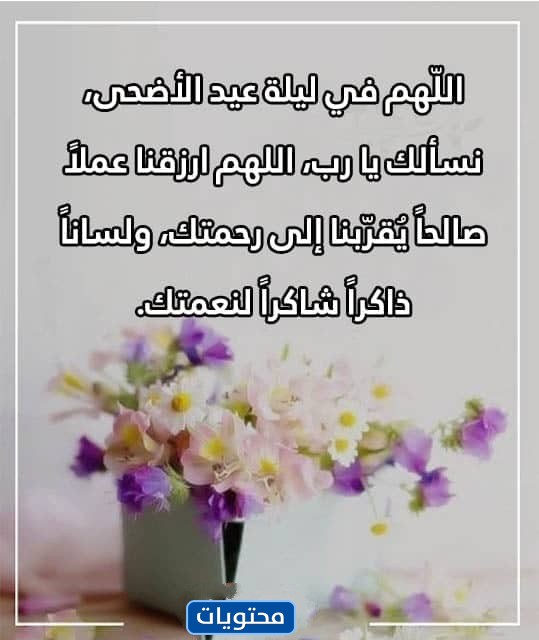 أجمل دعاء لعيد الأضحى