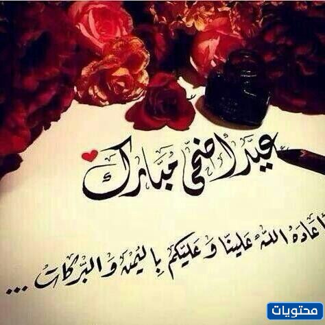 أجمل صور عيد الأضحى