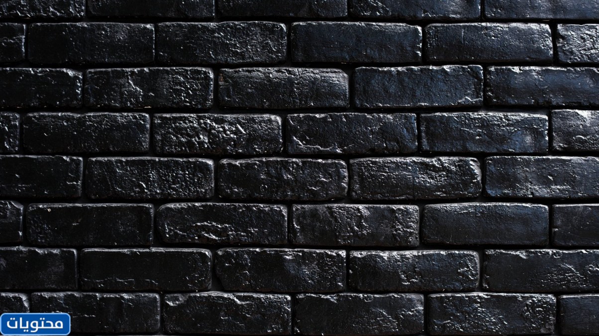 أجمل خلفيات الكمبيوتر