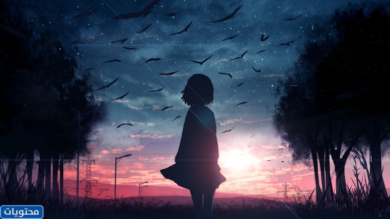 أجمل الخلفيات في العالم