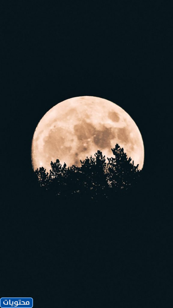 أجمل خلفيات للجوال 2022