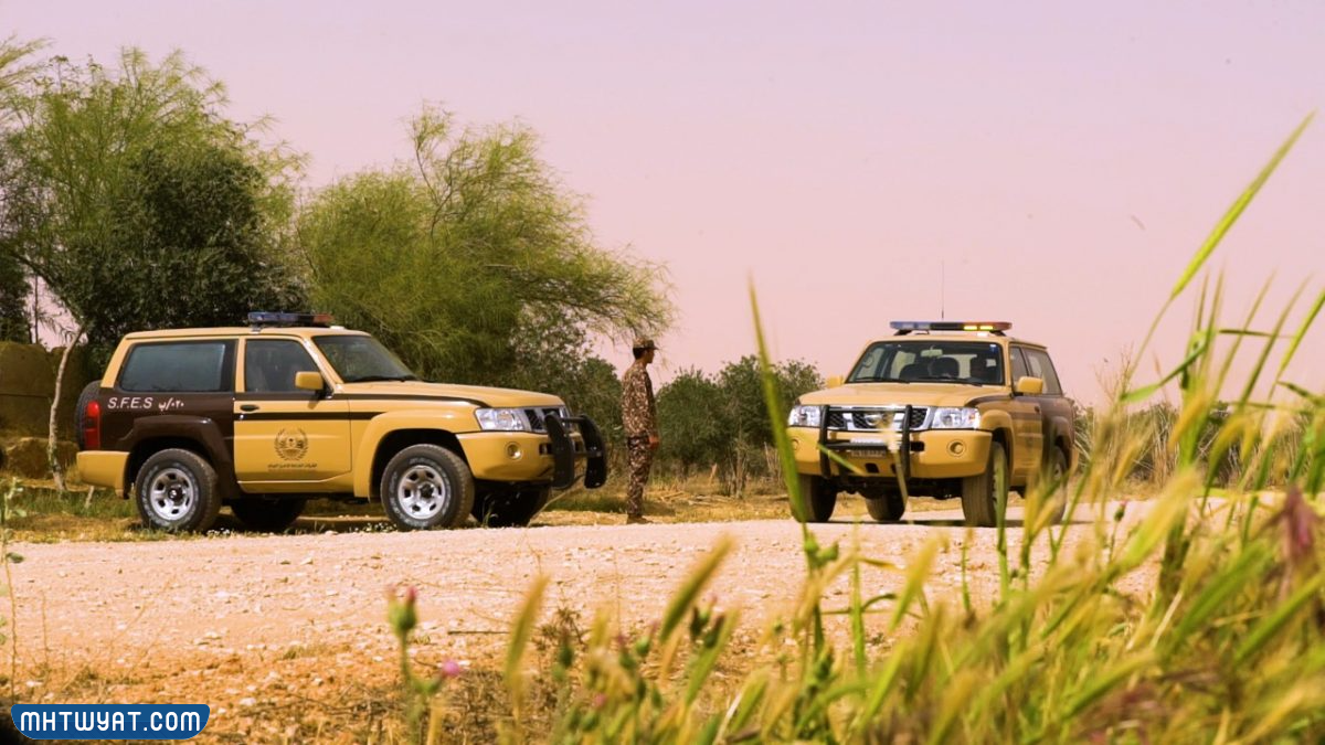 أدوات الأمن المحيطي