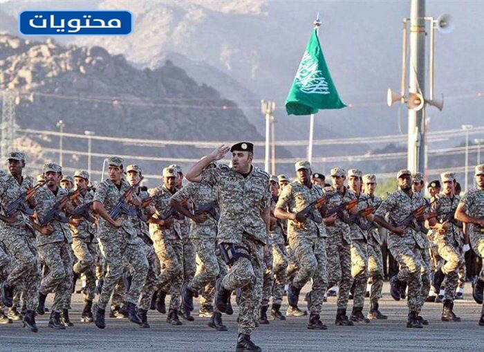 الملابس الأمنية الدبلوماسية الصيفية 2