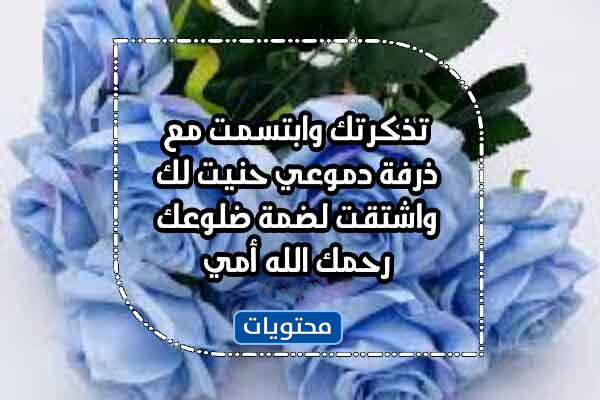 2022 Kurban Bayramı'nda ölen anne hakkında resimlerle konuşun